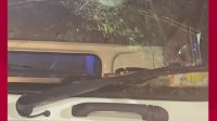VIDEO: Mobil Alami Kerusakan pada Kaca Akibat Dilempar OTK di Pangkep