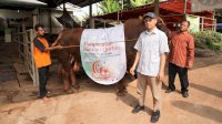 Idul Adha 1444 H, TelkomGroup Distribusikan Hewan Kurban ke Seluruh Indonesia