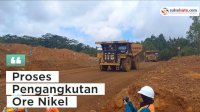 VIDEO: Proses Pengangkutan Ore Nikel di Harapan Hill Blok Sorowako PT Vale