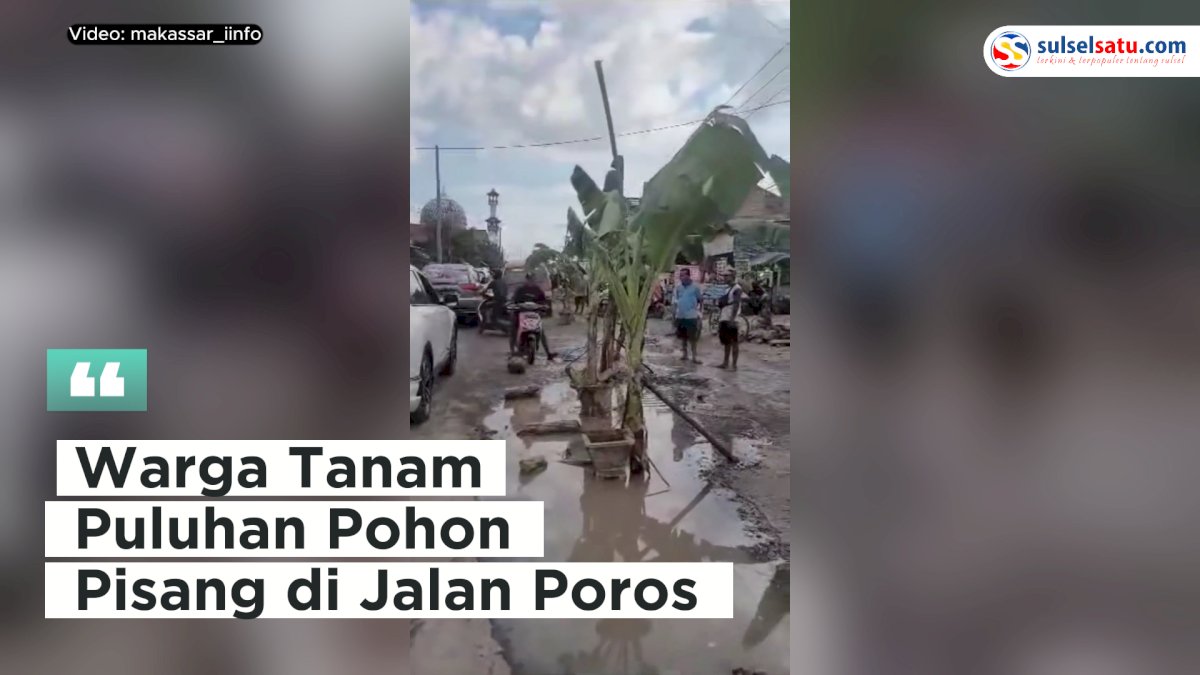 VIDEO: Warga Tanam Puluhan Pohon Pisang di Jalan Poros Sidrap – Soppeng sebagai Protes atas Jalan Rusak