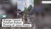 VIDEO: Warga Tanam Puluhan Pohon Pisang di Jalan Poros Sidrap – Soppeng sebagai Protes atas Jalan Rusak