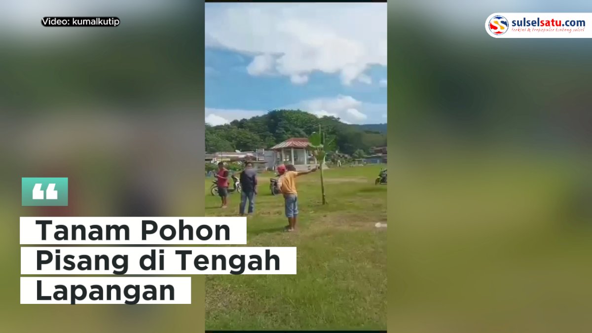 VIDEO: Viral, Warga di Larompong Tanam Pohon Pisang di Tengah Lapangan