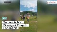 VIDEO: Viral, Warga di Larompong Tanam Pohon Pisang di Tengah Lapangan