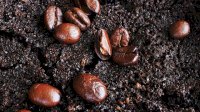 Jangan Dibuang, Ampas Kopi Bisa Bermanfaat Menyehatkan Kulit