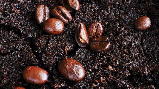 Ampas kopi bisa bermanfaat menyehatkan kulit (Foto: Internet)