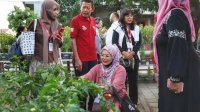 Kunjungi Lorong Wisata Sydney, Peserta IGA 2023 Mangaku Takjub