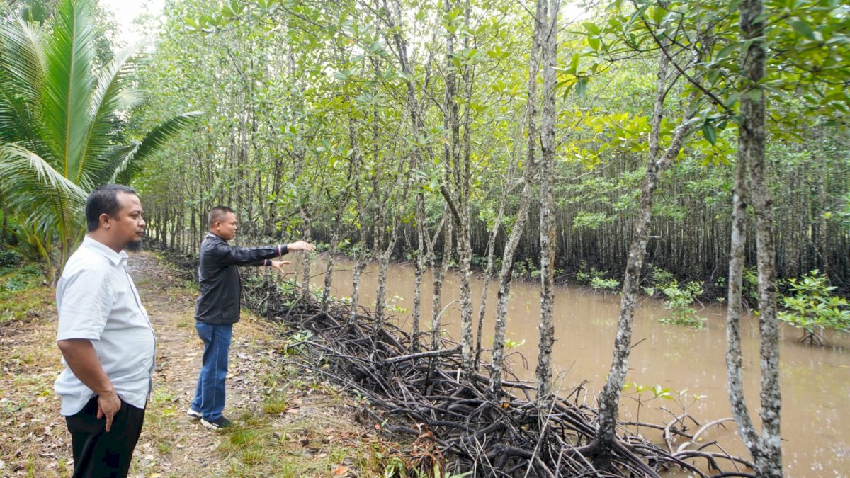 Andi Sudirman Sulaiman Kunjungi Hutan Mangrove dan Tanam Bibit di Kepri