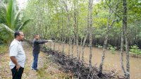 Andi Sudirman Sulaiman Kunjungi Hutan Mangrove dan Tanam Bibit di Kepri