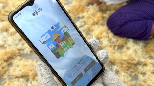 Platform Agree milik Telkom optimalkan hasil budidaya rumput laut di NTT (Foto: Istimewa)