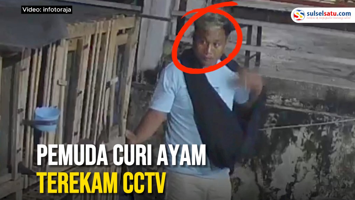 VIDEO: Pemuda Curi Ayam Terekam CCTV, Aksinya Viral di Media Sosial