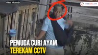 VIDEO: Pemuda Curi Ayam Terekam CCTV, Aksinya Viral di Media Sosial