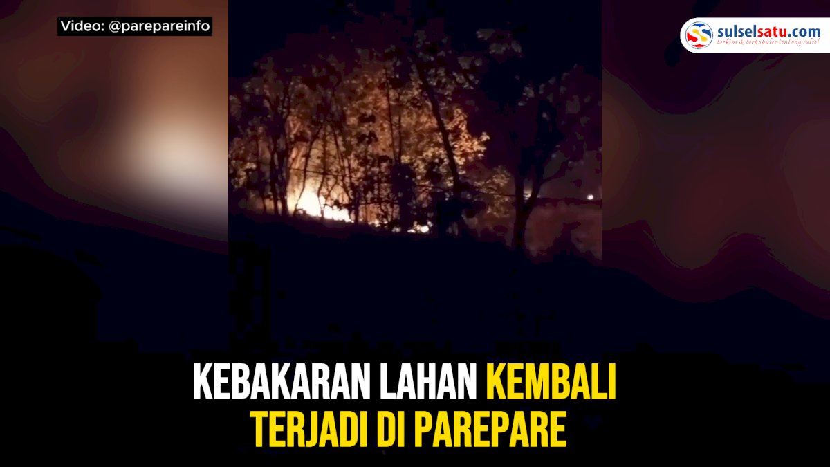 VIDEO: Kebakaran Lahan Kembali Terjadi di Parepare