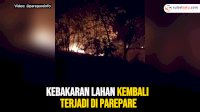 VIDEO: Kebakaran Lahan Kembali Terjadi di Parepare