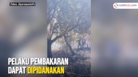 VIDEO: Kebakaran Lahan Kembali Terjadi di Parepare, Pelaku Pembakaran Dapat Dipidanakan