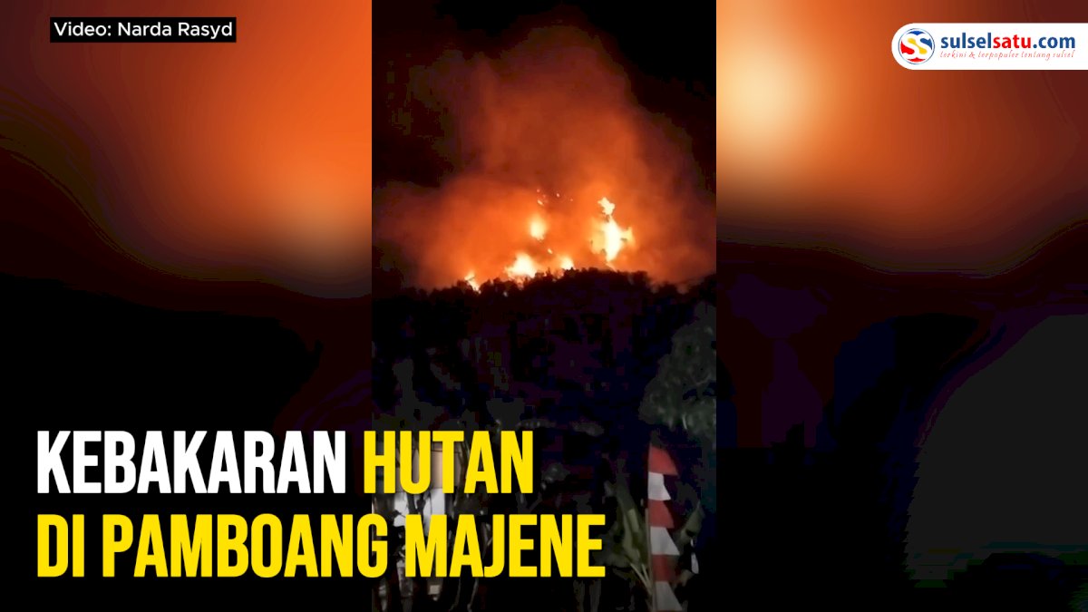 VIDEO: Kebakaran Hutan di Pamboang Majene, Api Masih Berkobar
