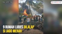 VIDEO: Kebakaran Hebat di Watampanua Wajo, 9 Rumah Ludes Dilalap Si Jago Merah