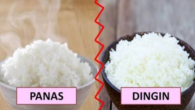 Nasi dingan sangat baik bagi penderita diabetes (Foto: Internet)