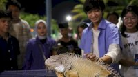 F8 Makassar Sajikan Pengalaman Belajar Tentang Fauna yang Menginspirasi