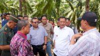Pj Gubernur Bahtiar Produktifkan Lahan Milik PTPN XIV untuk Ditanami Pisang