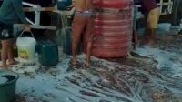 VIDEO: Truk Tangki Solar Bocor di Sulawesi Tenggara , Antusiasme Warga Rebutan Solar