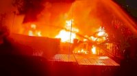 Diduga Karena Obat Nyamuk Bakar, Damkar Makassar Catat 17 Rumah di Jl Andi Djemma jadi Arang