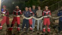 Damkar Makassar Berhasil Evakuasi Ular Sanca, Panjangnya 5 Meter