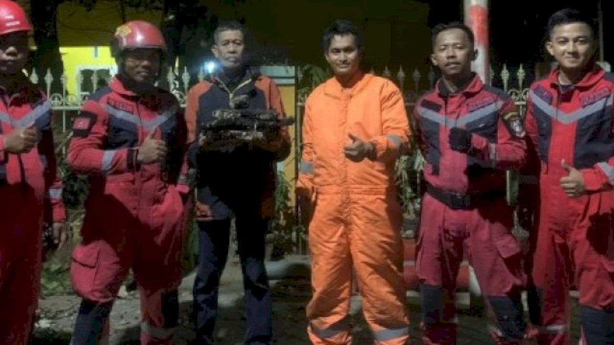 6 Personil Damkar Makassar Tangani Sarang Tawon Vespa