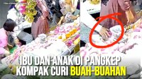 VIDEO: Ibu dan Anak di Pangkep Kompak Curi Buah-buahan Bersama, Aksinya Terekam