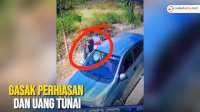 VIDEO: Aksi Pencurian Modus Kenal Pemilik Rumah, Gasak Perhiasan dan Uang Tunai