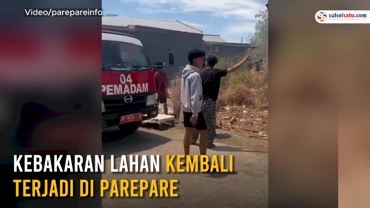 VIDEO: Kebakaran Lahan Kembali terjadi di Parepare