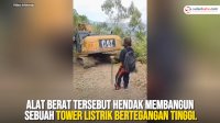 VIDEO: Wanita di Toraja Hadang Alat Berat Sendirian demi Pertahankan Tanah Adat