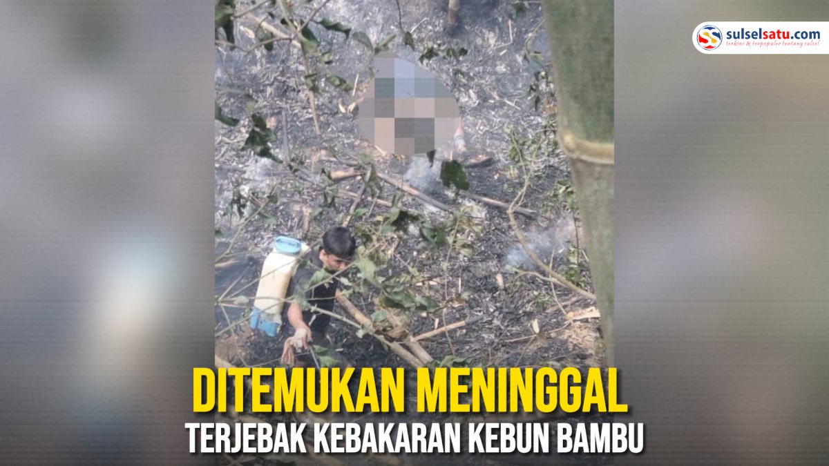 VIDEO: Seorang Pria di Wajo Ditemukan Meninggal Terjebak Kebakaran Kebun Bambu