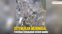 VIDEO: Seorang Pria di Wajo Ditemukan Meninggal Terjebak Kebakaran Kebun Bambu