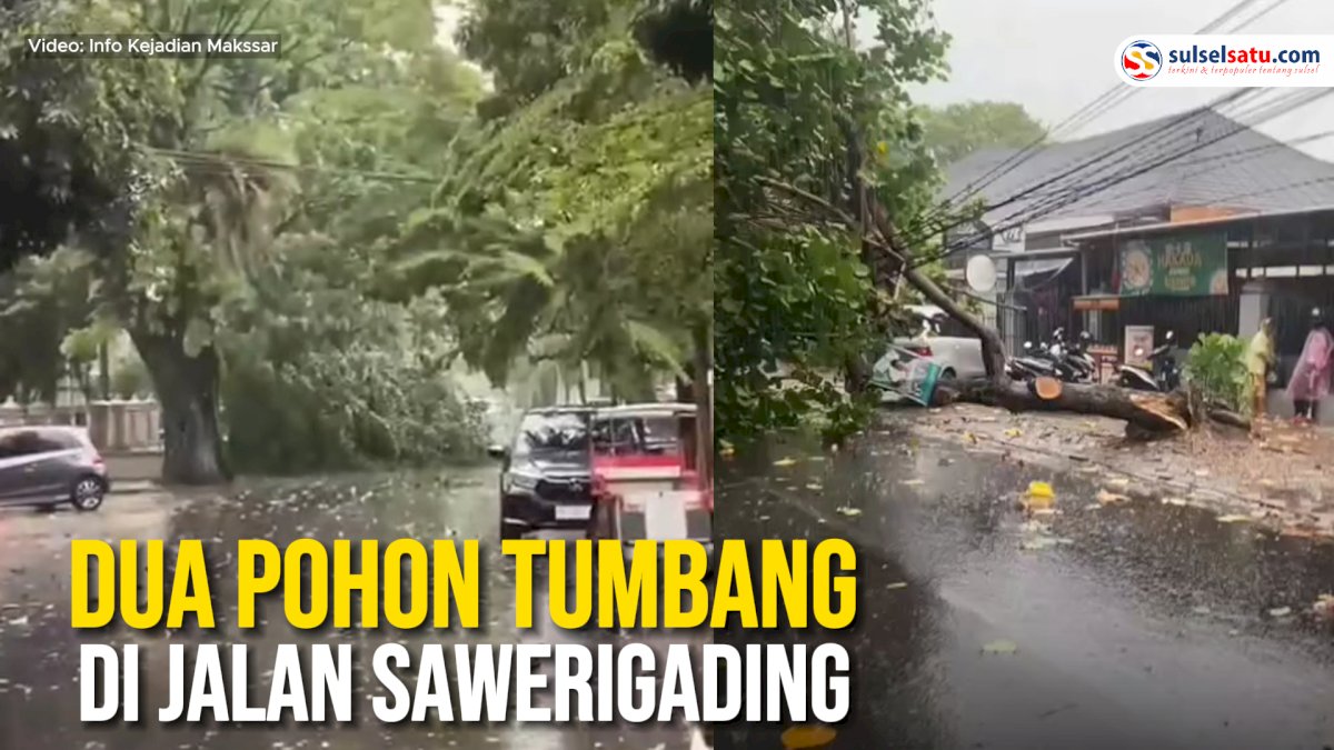 VIDEO: Makassar Diguyur Hujan Deras, Dua Pohon Tumbang di Jalan Sawerigading