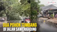 VIDEO: Makassar Diguyur Hujan Deras, Dua Pohon Tumbang di Jalan Sawerigading