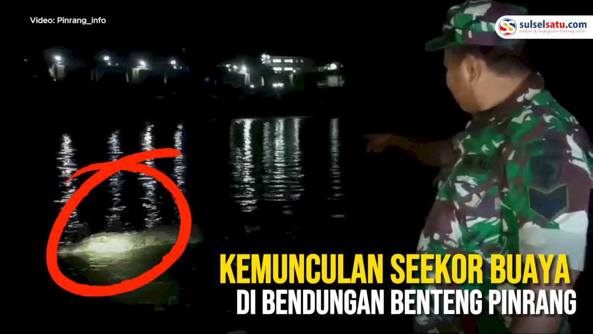 VIDEO: Kemunculan Seekor Buaya di Bendungan Benteng Pinrang Hebohkan Warga