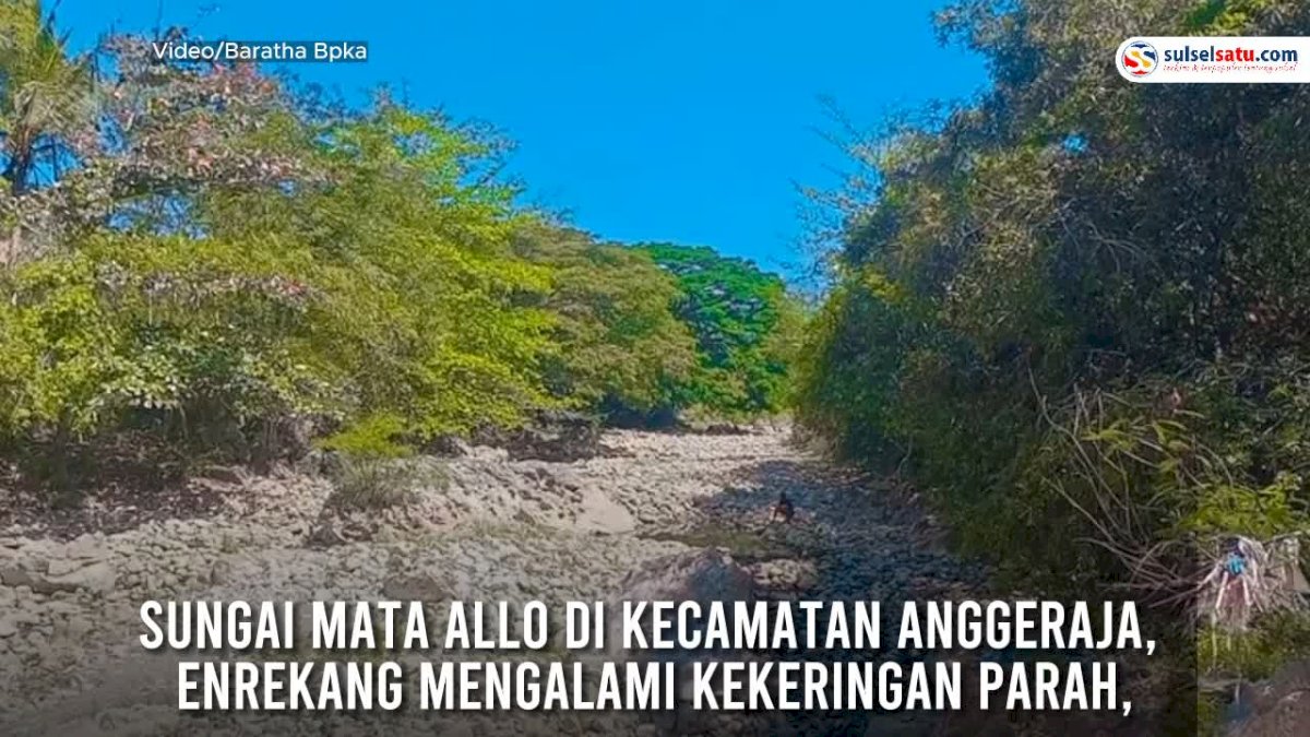 VIDEO: Sungai Mata Allo Enrekang Kering, Penyiraman Bawang Merah Terancam