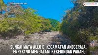 VIDEO: Sungai Mata Allo Enrekang Kering, Penyiraman Bawang Merah Terancam
