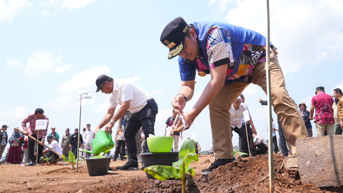 Bahtiar Tanam Pisang di Lahan 20 Hektare Milik Bupati Bulukumba Andi Utta