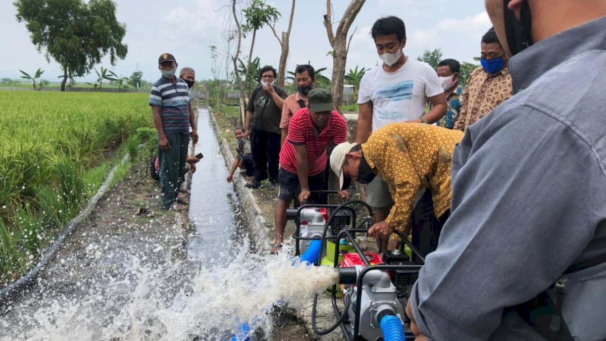 Sawah Menghijau di Tengah Kekeringan Berkat Pompa Air Konversi LPG