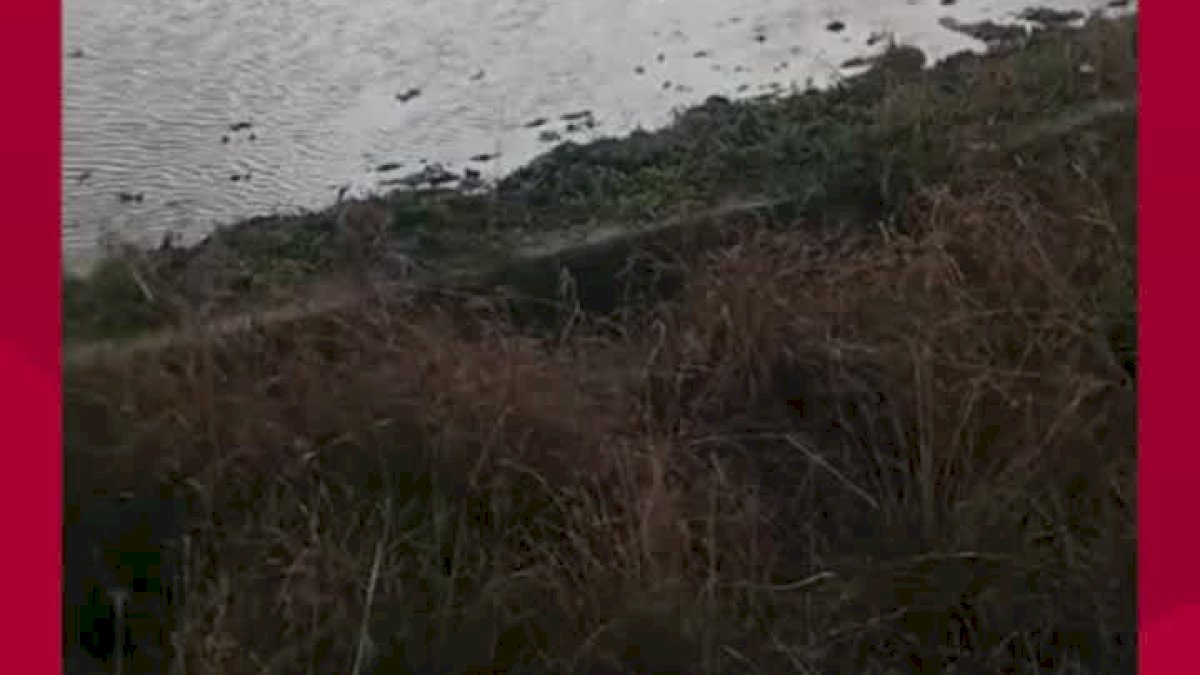 VIDEO: Petani di Sidrap Meninggal Dunia Tersambar Petir Saat Persiapan Musim Tanam