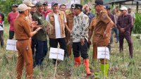 Pemprov Sulsel Siapkan Bantuan Sumur Bor untuk Petani Bawang Enrekang