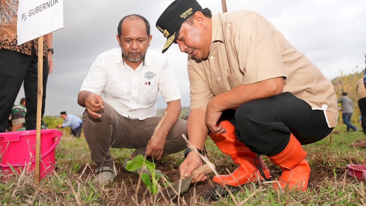 Pemkab Gowa Siapkan Lahan 3.600 Hektar untuk Budidaya Pisang Cavendish