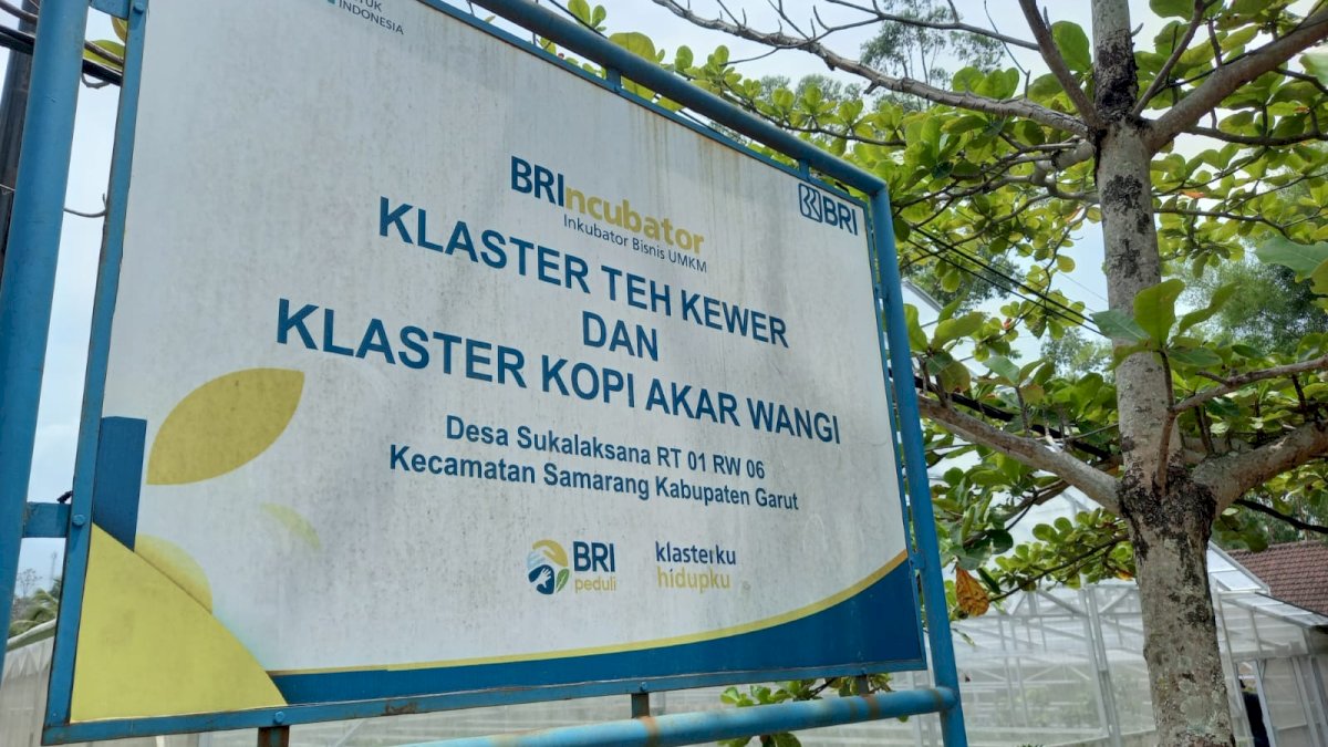 Menikmati Kopi Akar Wangi di Desa Wisata, Semakin Tumbuh dengan Program BRI ‘Klasterku Hidupku’