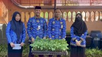 Plt Camat Bontoala Terima Bantuan Bibit Cabe