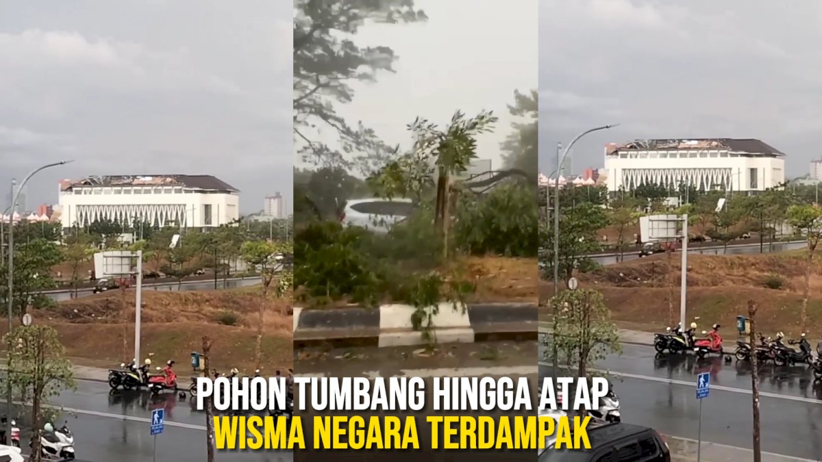 VIDEO: Hujan Deras Disertai Angin Kencang, Pohon Tumbang hingga Atap Wisma Negara Terdampak
