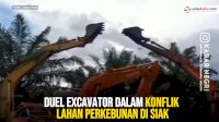 VIDEO: Duel Excavator dalam Konflik Lahan Perkebunan di Siak