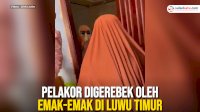 VIDEO: Wanita Diduga Pelakor Digerebek oleh Emak-emak di Luwu Timur