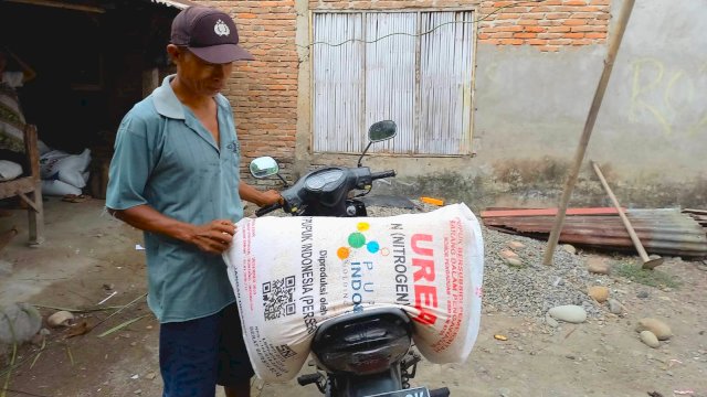 Sukri Daeng Sewang tiba di rumahnya seusai membeli pupuk urea bersubsidi yang diproduksi PT Pupuk Indonesia (Persero). Foto: Sri Wahyu Diastuti/Sulselsatu.com