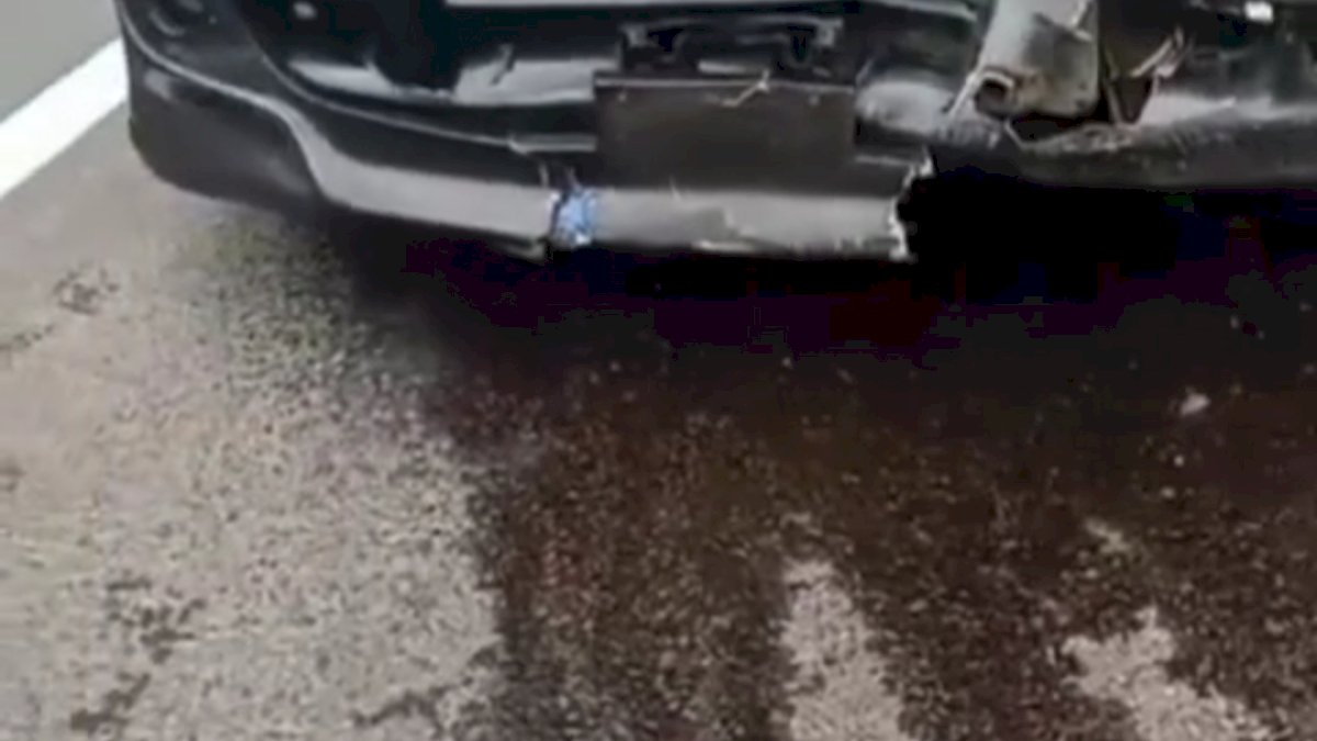 VIDEO: Viral, Mobil Rusak Usai Tabrak Babi Hutan di Tol Cipali